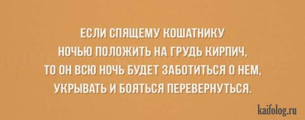 Открытки с жизненной мудростью (50 картинок) Открытки с жизненной мудростью (50 картинок)