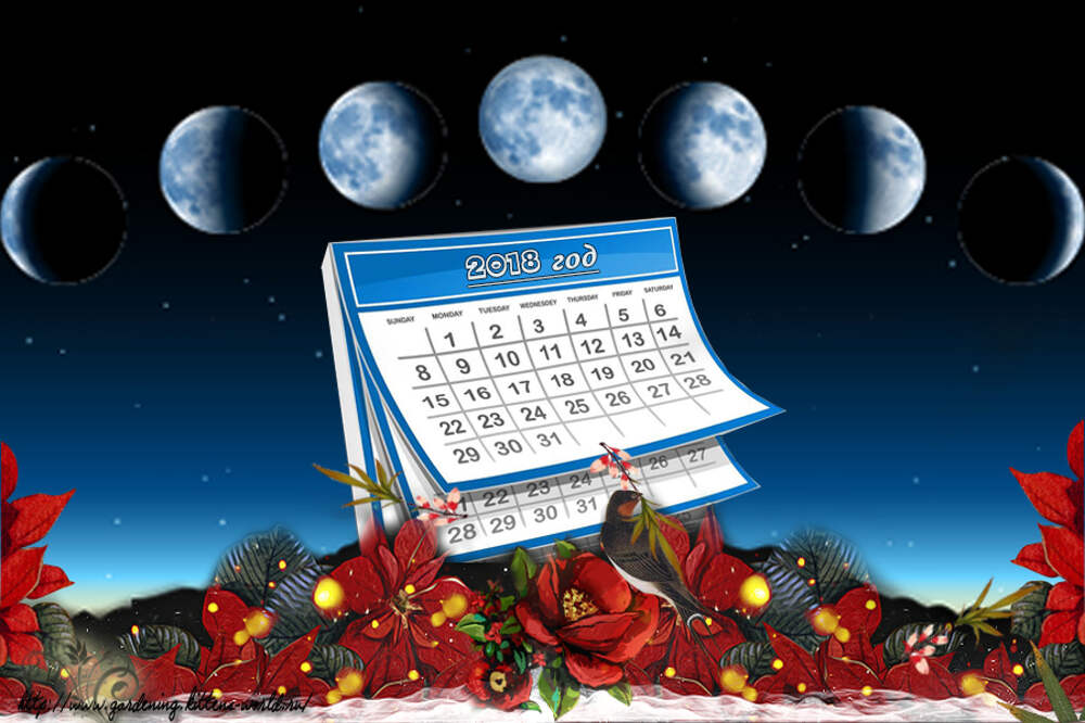 Mirkosmosa calendar lunar. Лунный календарь. Магический календарь. Волшебный календарь. Магический лунный календарь.