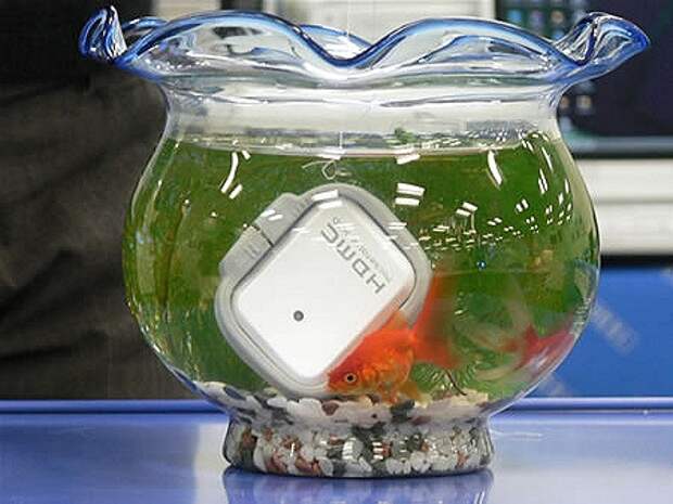 iodata waterproof