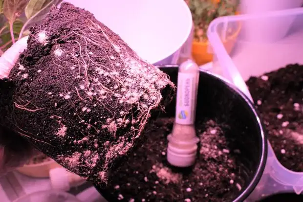 �������� �������� �� ������ � ���������� �������� ��� �� ���� ������ ���������