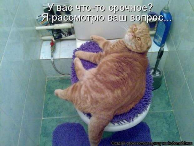 Мысли вслух :)
