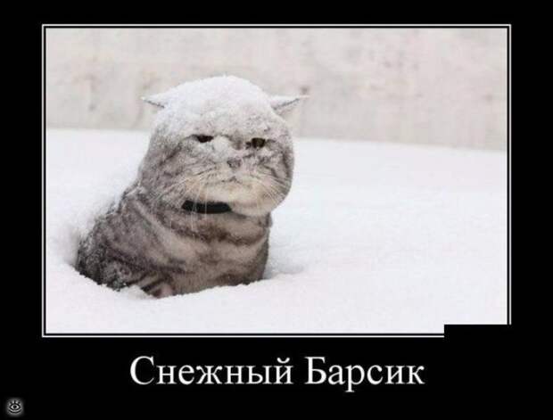 Расслабляйся осознанно! 14