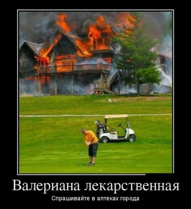 Демотиваторы (30 фото)