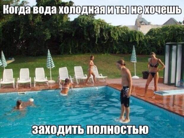Анекдоты для настроения (12 шт)