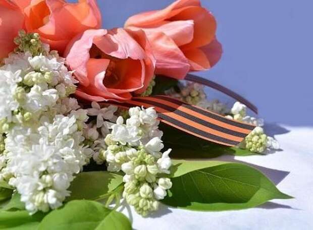 Ветераны ВОВ в Тульской области получат выплату в 50 тысяч рублей