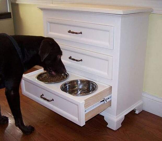 скрытая миска для собак в ящике