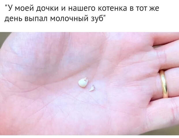 Занимательные фото-сравнения, которые открывают новый взгляд на мир Сравнение, Было-Стало, Фотография, Жизнь, Прошлое, Настоящее, Интересное, Длиннопост