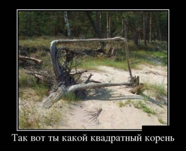 Демотиваторы (35 шт)