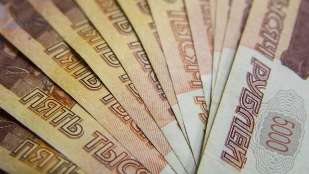 Депутаты красноярского горсовета посчитали необходимым поднять зарплату мэра