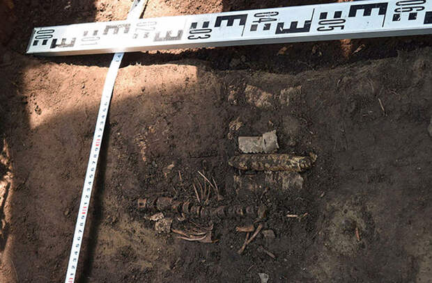 Археологи нашли на Лене недоеденный 8000 лет назад обед рыбаков
