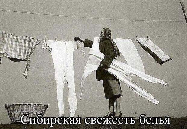 Лучшие приколы дня