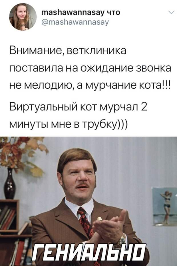 Звонок в ветеринарную клинику