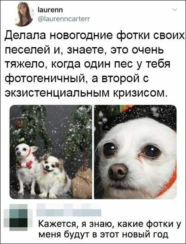 Не комментарии, а перлы (15 фото)