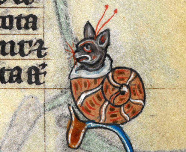 13. А этот "улиткот" даже симпатичный коты, средние века, страдающее средневековье, ужас