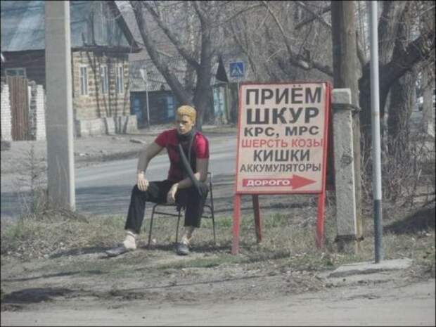 Прикольная коллекция смешных объявлений, вывесок и надписей