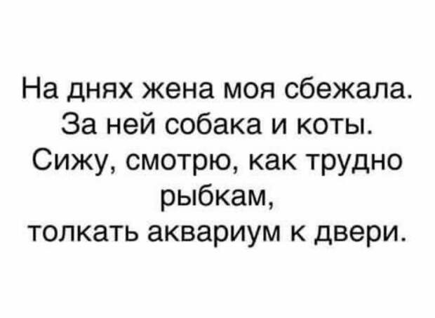 Классные анекдоты и шутки в картинках, которые подарят чудесное настроение
