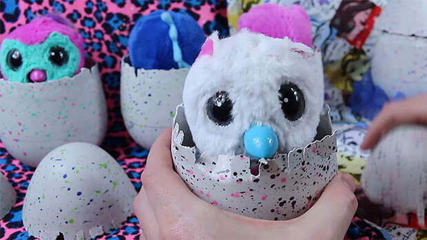 hatchimals-swearing-spin-master-1a