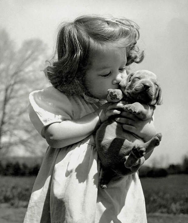 17. Девочка целует щенка веймарской легавой в питомнике своего отца-заводчика, 1950 г. архивные фотографии, лучшие фото, ретрофото, черно-белые снимки