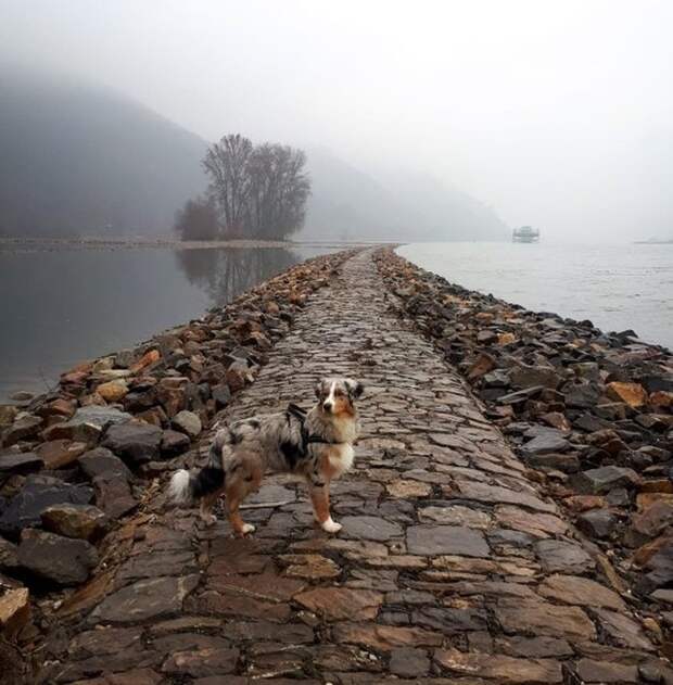 20 фотографий, на которых запечатлено то, с чем раньше вы никогда не сталкивались