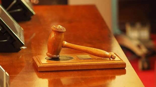 Жителя Омской области будут судить за вырубку 48 хвойных деревьев