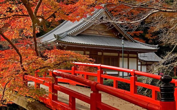 _beautiful_autumn_in_japan-1573609 (800x537, 542Kb)