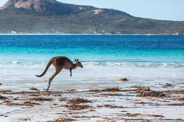 Lucky Bay