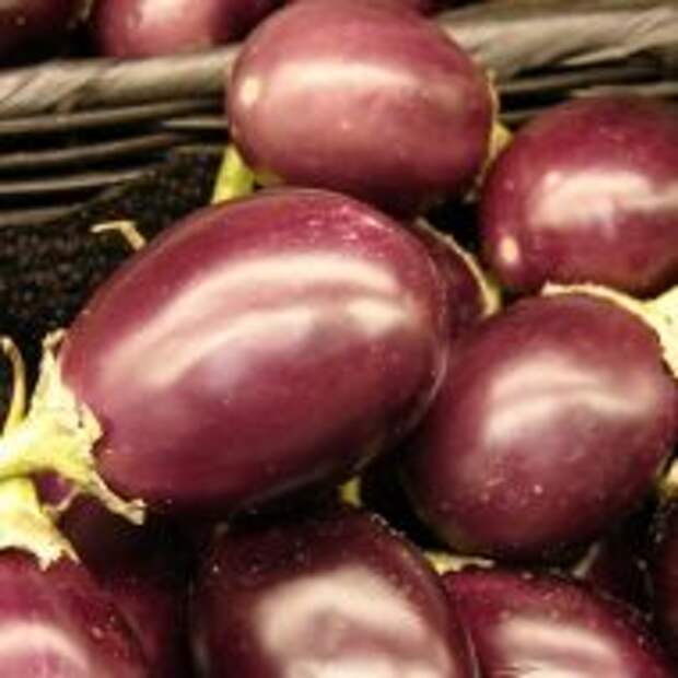 Урожай фиолетовых баклажанов в корзине