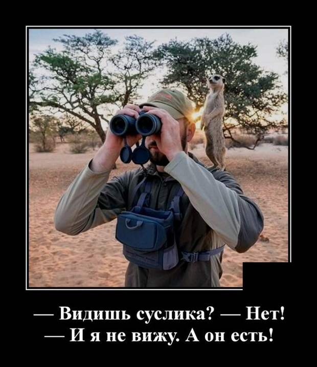 Демотиваторы (20 фото)