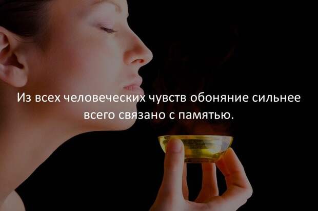 Интересные факты в картинках