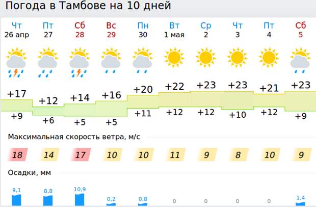 Погода от фобос тверь. Синоптик Тамбов. Фобос погода в Москве. Фобос погода. Фобос погода Зеленоградск.