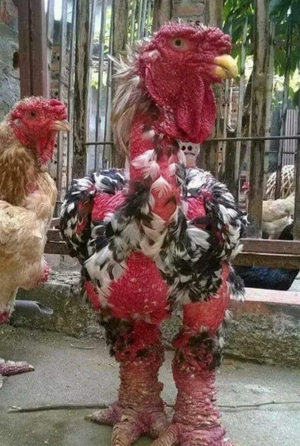 Необычные цвета умеют удивлять людей
