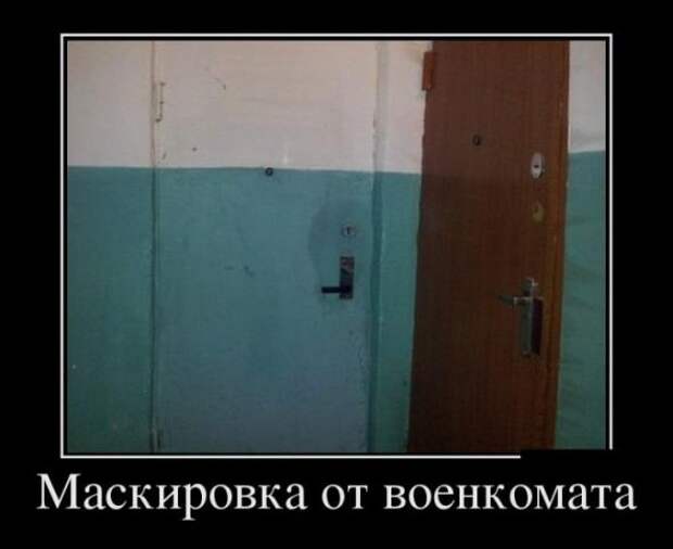 Немного новых демотиваторов