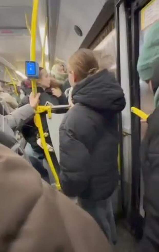 В Омске беременная женщина напала на пенсионера в автобусе из-за отказа уступить место