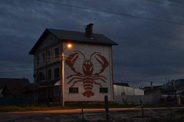 Приколы