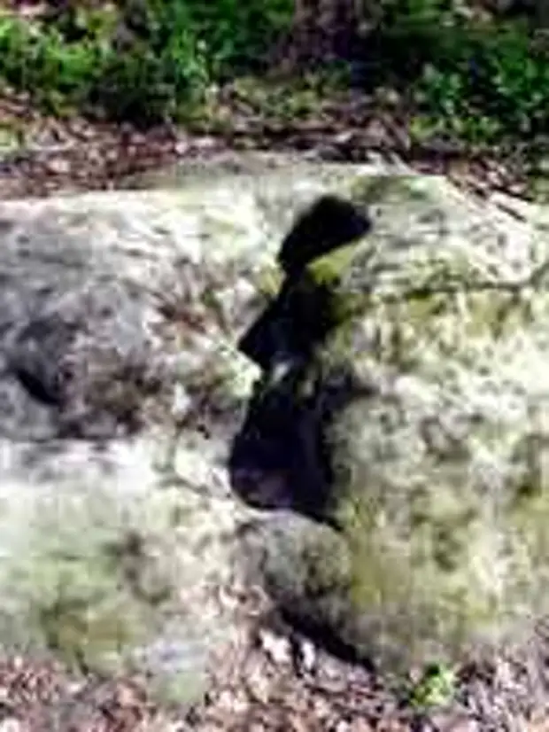 Чёртово городище в Калужской области