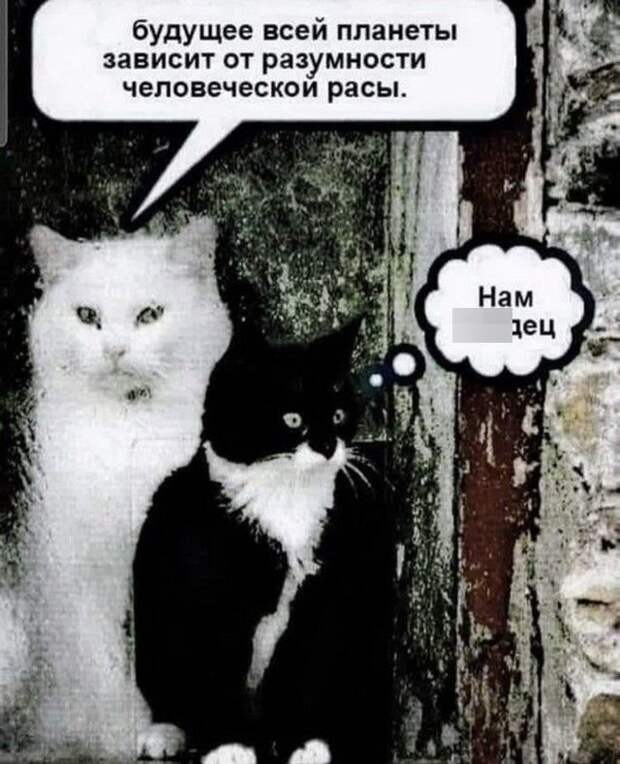 Лучшие шутки и мемы из Сети