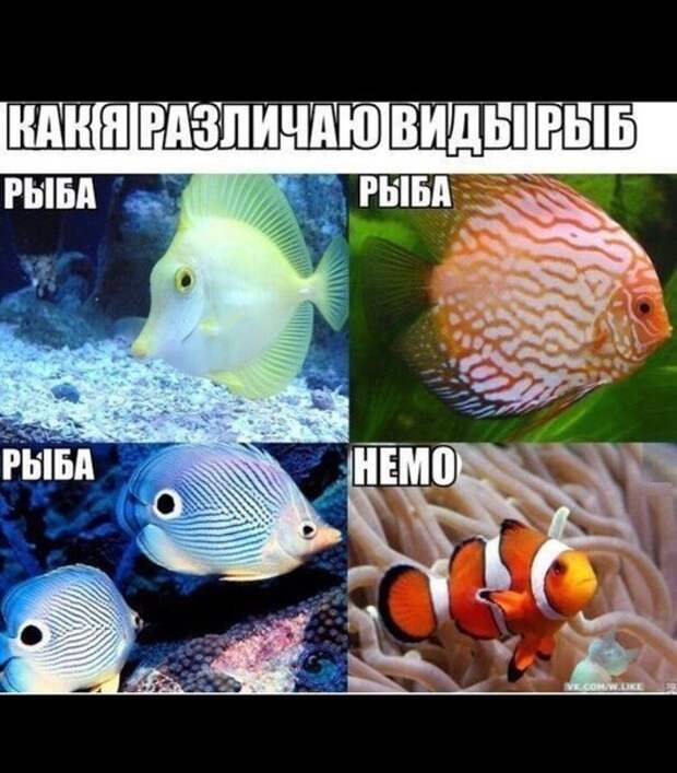 картиночки