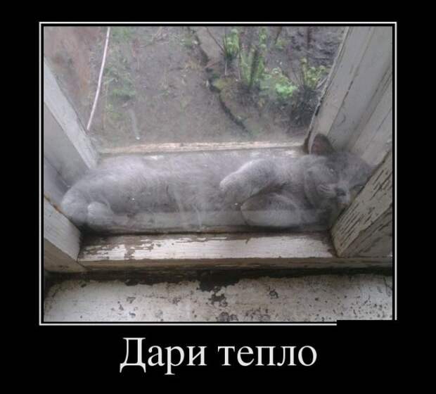И снова демотиваторы!