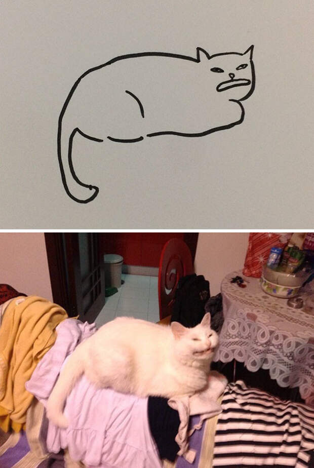 Кто сказал, что вы не умеете рисовать котиков? животные, кот, мир, рисунок, снимок, фотография, художница, юмор