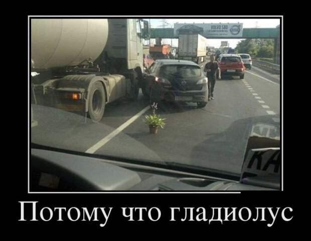 Демотиваторы Демотиваторы