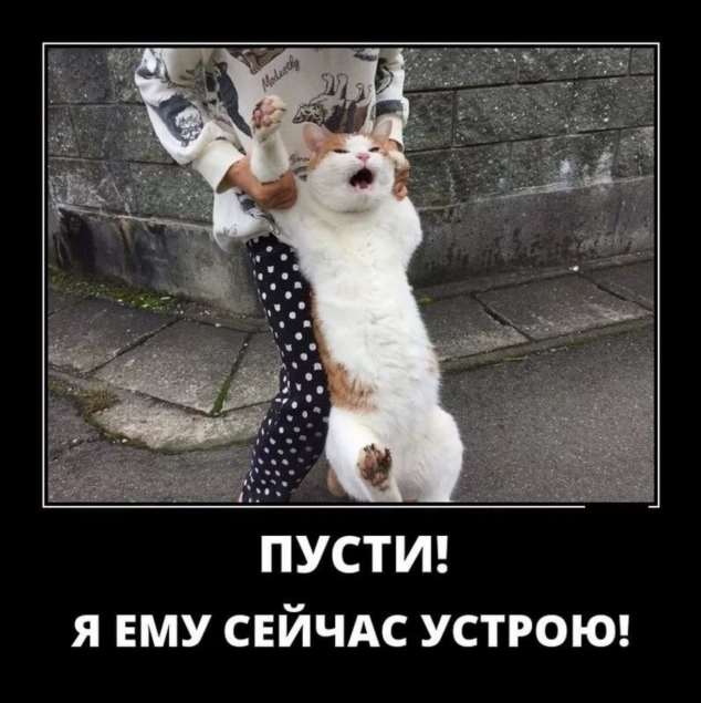 Прикольные демотиваторы с надписями. Подборка chert-poberi-dem-chert-poberi-dem-31530217102020-17 картинка chert-poberi-dem-31530217102020-17