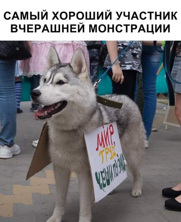 картинки
