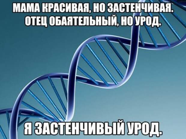 Новогодние фотомемы (32 шт)