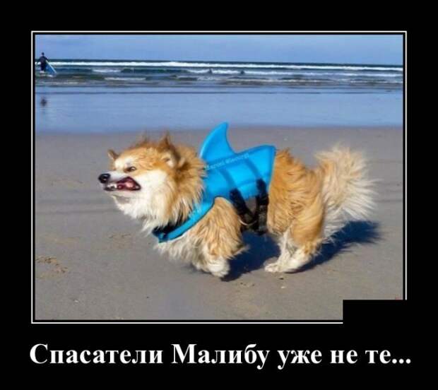 www.vsyako.net