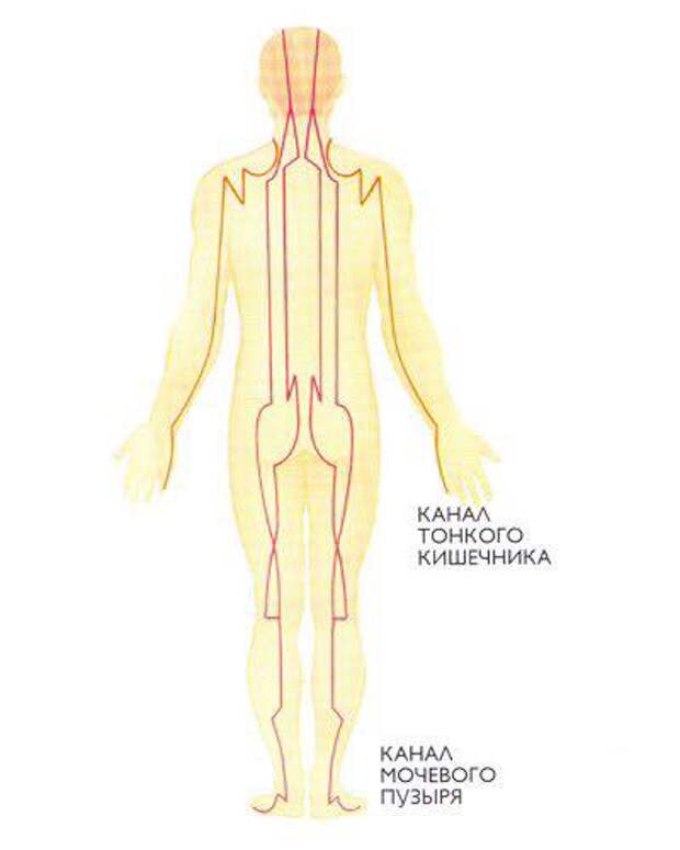 Каналы энергетические в теле человека схема