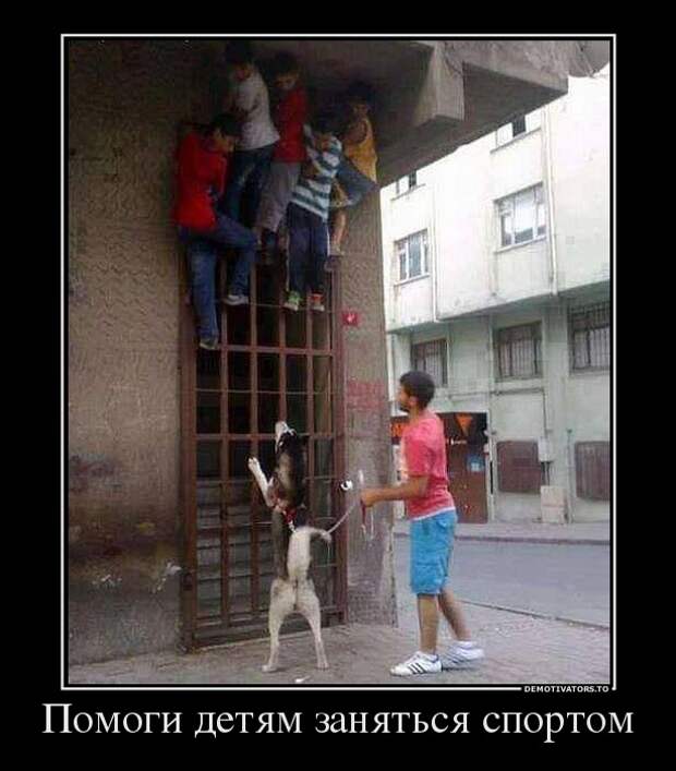 Демотиваторы демотиваторы, юмор