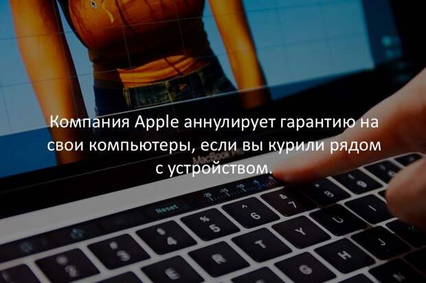 Интересные факты в картинках