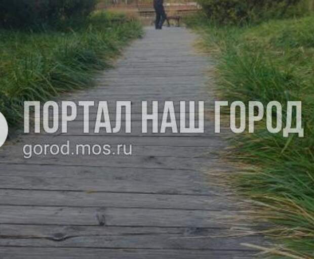 На опасной дорожке в парке «Дубрава» закрепили балки