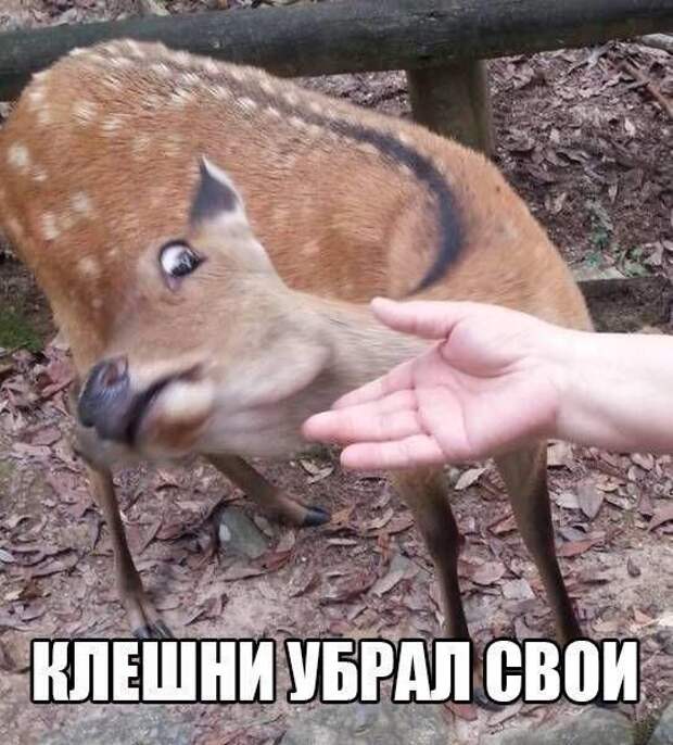 Подборка прикольных фото №1408 (100 фото)