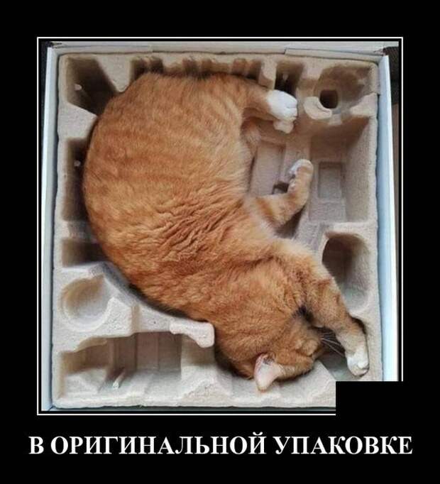 Демотиваторы (20 фото)